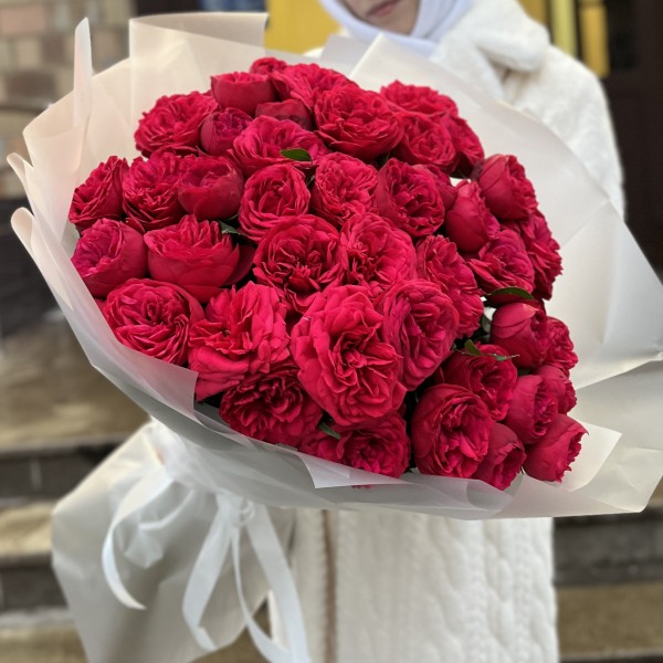 25 красных пионовидных кустовых роз Ред Пиано 60 см