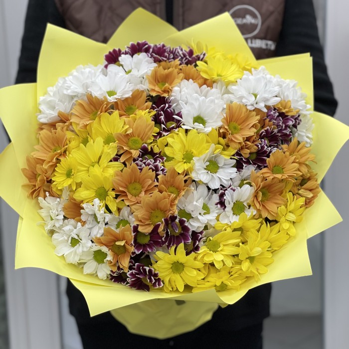 31 яркая хризантема Микс