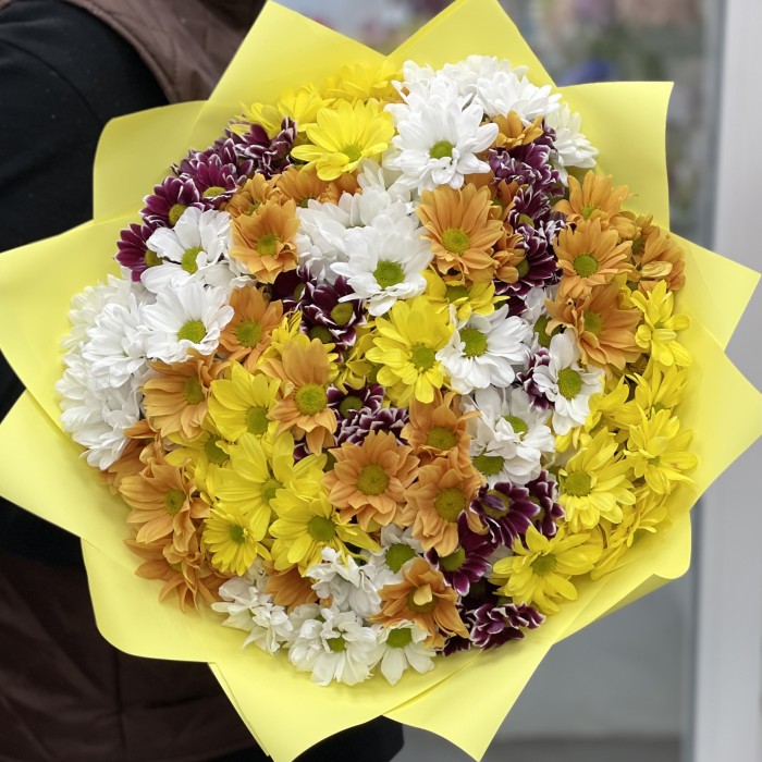 31 яркая хризантема Микс