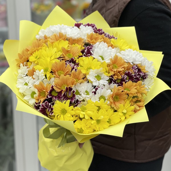 31 яркая хризантема Микс