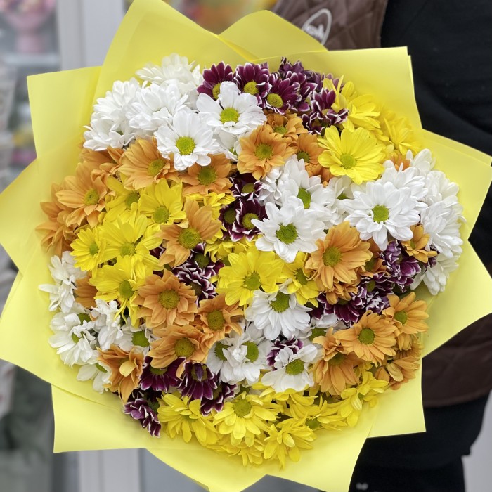 31 яркая хризантема Микс