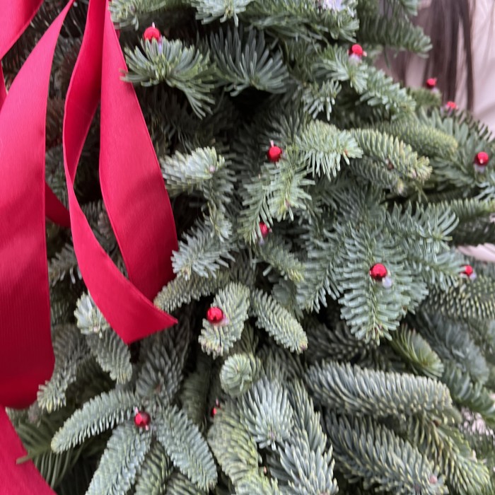 Новогодняя елочка Снегурочка в красном