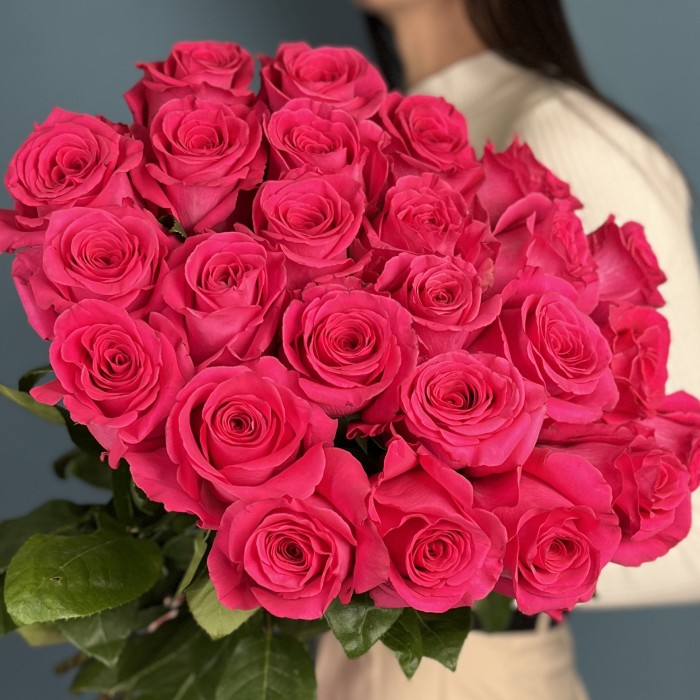 Роза Пинк Флойд 60 см