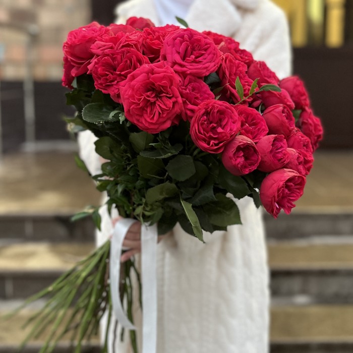 Красные кустовые пионовидные розы Ред Пиано  60 см