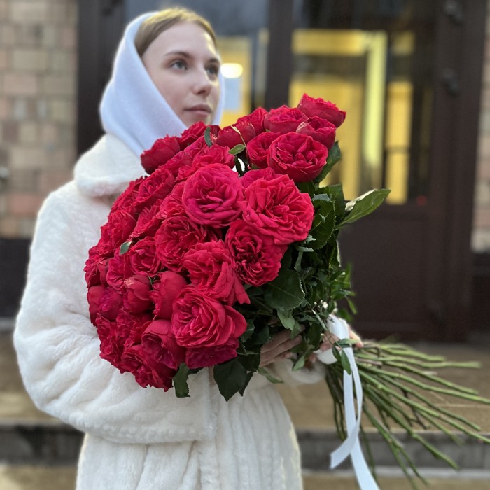 Красные кустовые пионовидные розы Ред Пиано  60 см