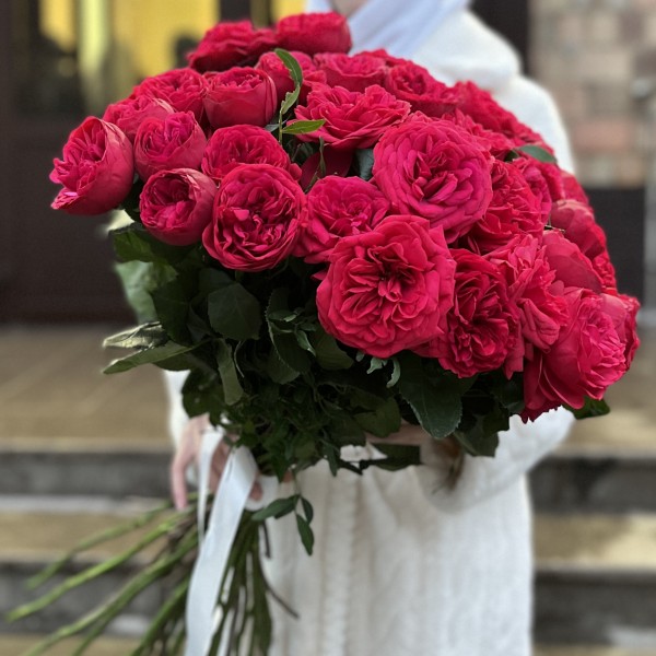 Красные кустовые пионовидные розы Ред Пиано  60 см