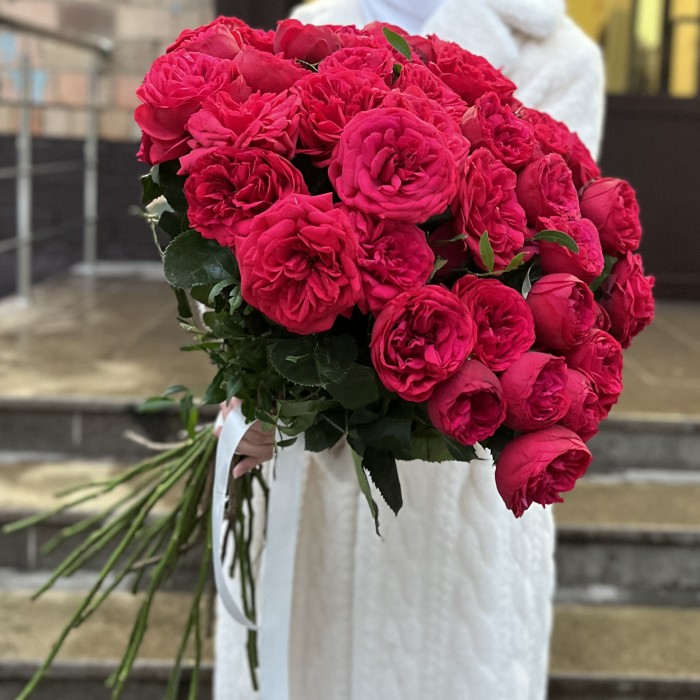 Красные кустовые пионовидные розы Ред Пиано 70 см