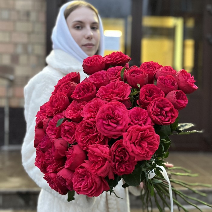 Красные кустовые пионовидные розы Ред Пиано 70 см