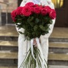 Красные кустовые пионовидные розы Ред Пиано 70 см