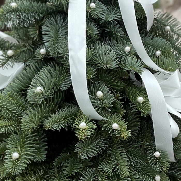 Рождественская елка Волшебница