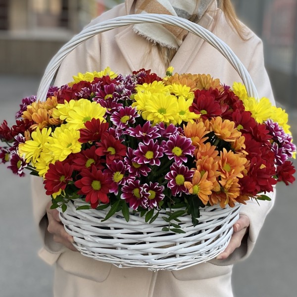 25 кустовых хризантем Яркий Mix в корзине