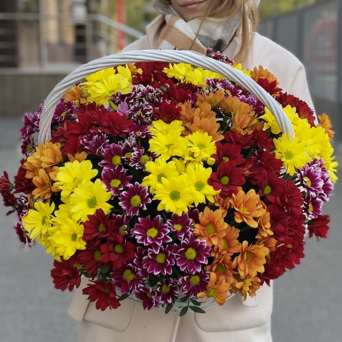 25 кустовых хризантем Яркий Mix в корзине