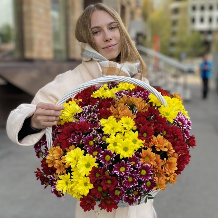 25 кустовых хризантем Яркий Mix в корзине