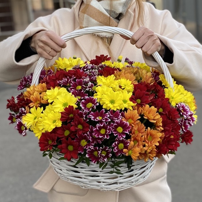 25 кустовых хризантем Яркий Mix в корзине