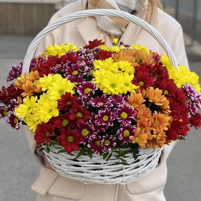 25 кустовых хризантем Яркий Mix в корзине