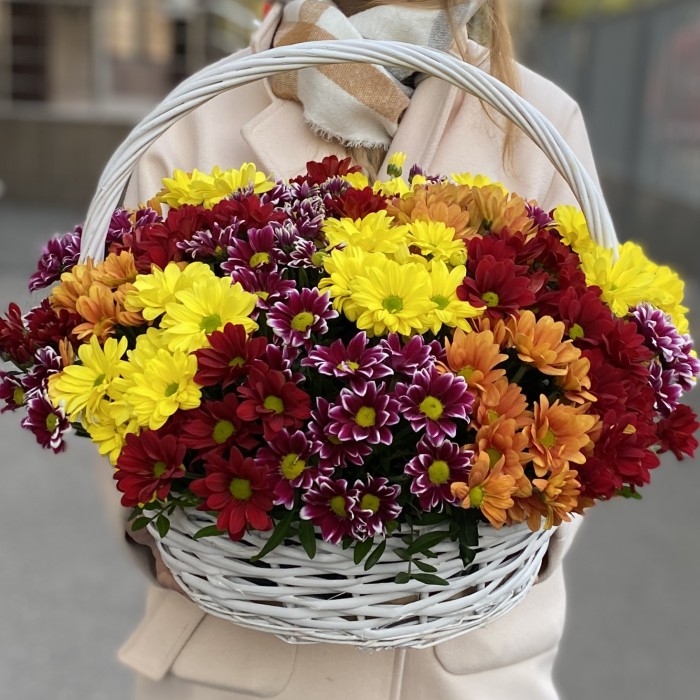 25 кустовых хризантем Яркий Mix в корзине