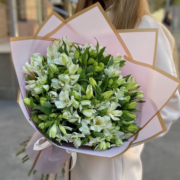 25 белых альстромерий