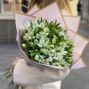 25 белых альстромерий