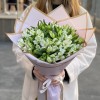 25 белых альстромерий