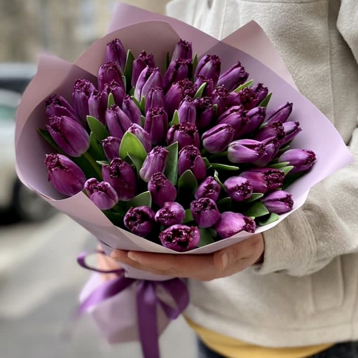 51 махровый фиолетовый тюльпан