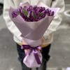 51 махровый фиолетовый тюльпан