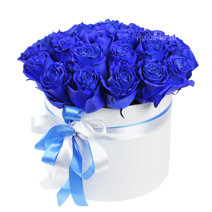 25 синих роз в коробке