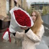 25 бордовых кустовых хризантем Бакарди