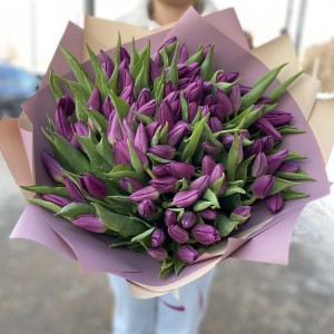 101 фиолетовый тюльпан