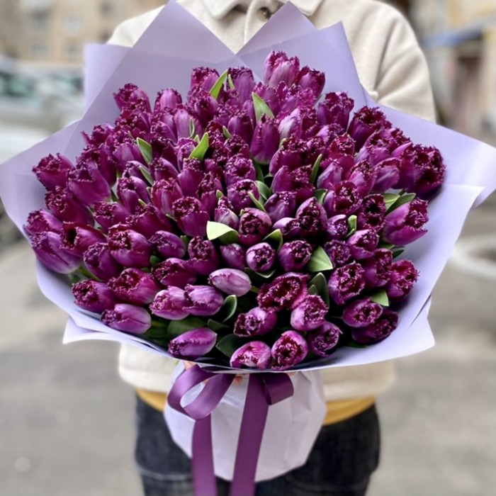 101 махровый фиолетовый тюльпан