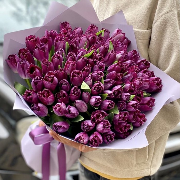 101 махровый фиолетовый тюльпан