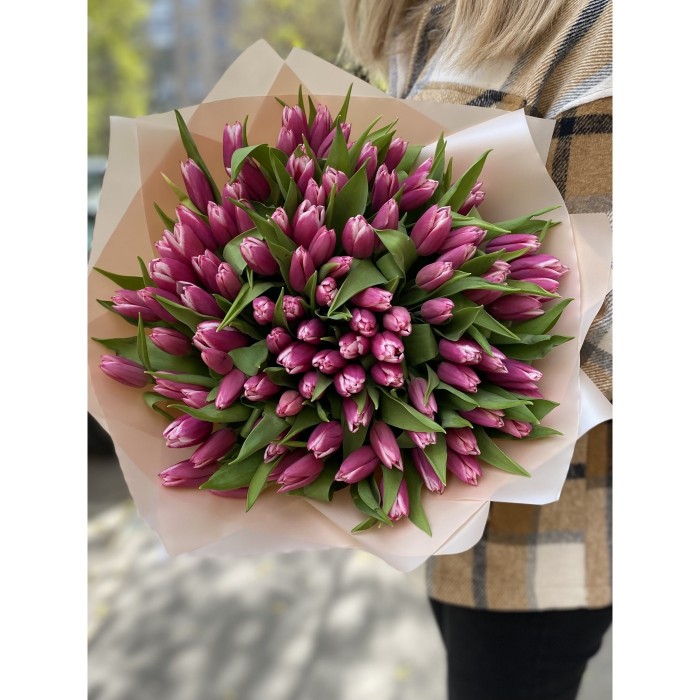 101 тюльпан Камалия