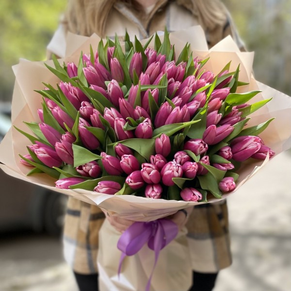 101 тюльпан Камалия