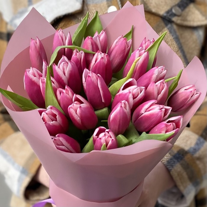 25 тюльпанов Камалия