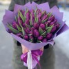 51 фиолетовый тюльпан