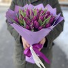 51 фиолетовый тюльпан