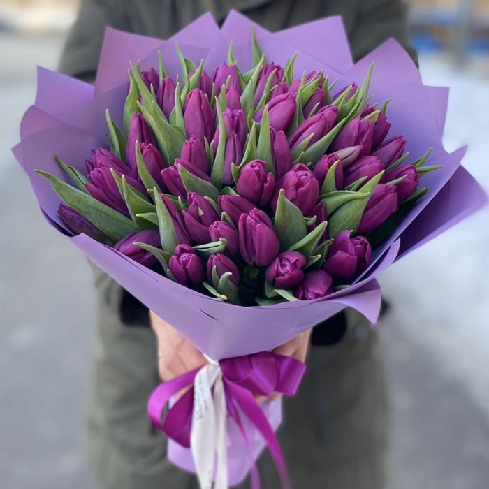 51 фиолетовый тюльпан