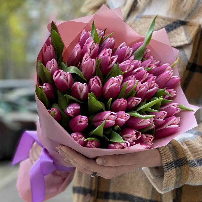 51 тюльпан Камалия