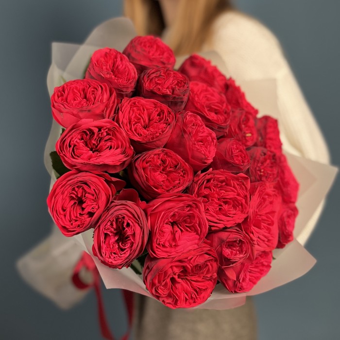 25 красных пионовидных роз Ред Пиано 60 см