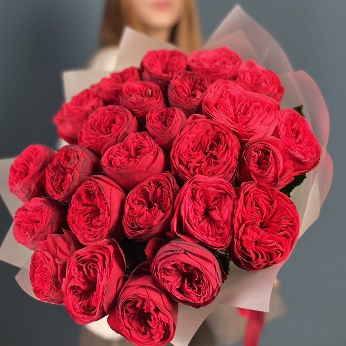25 красных пионовидных роз Ред Пиано 60 см