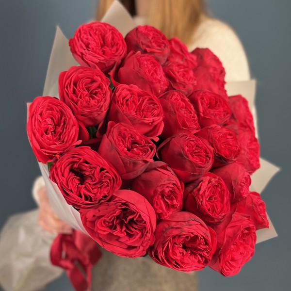 25 красных пионовидных роз Ред Пиано 50 см