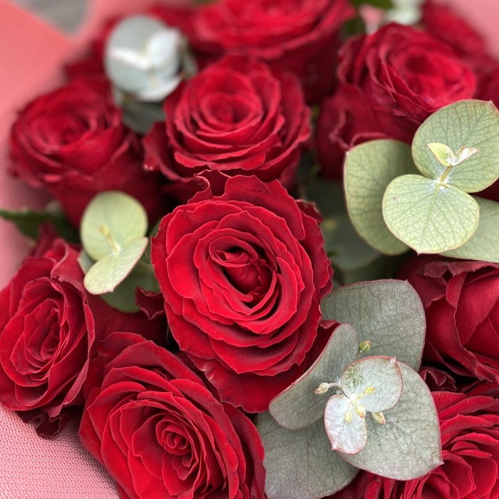 15 красных роз с эвкалиптом