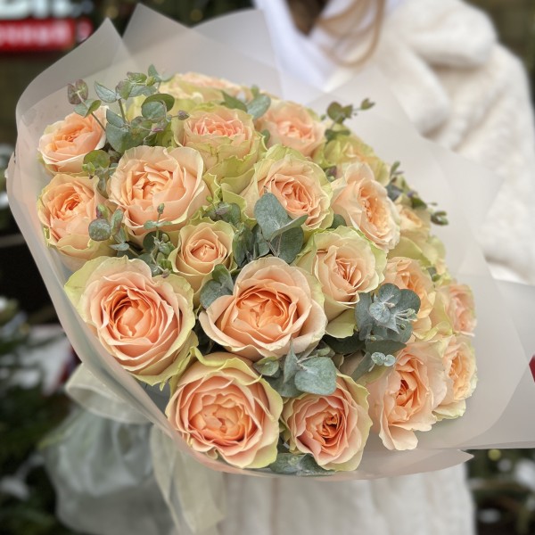 25 кремовых пионовидных роз Гравити с эвкалиптом