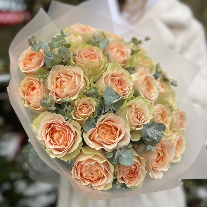 25 кремовых пионовидных роз Гравити с эвкалиптом