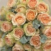 25 кремовых пионовидных роз Гравити с эвкалиптом