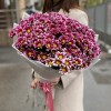 25 кустовых хризантем Хайдар Пинк