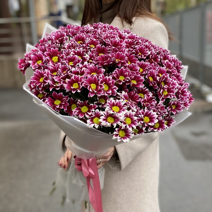 25 кустовых хризантем Хайдар Пинк