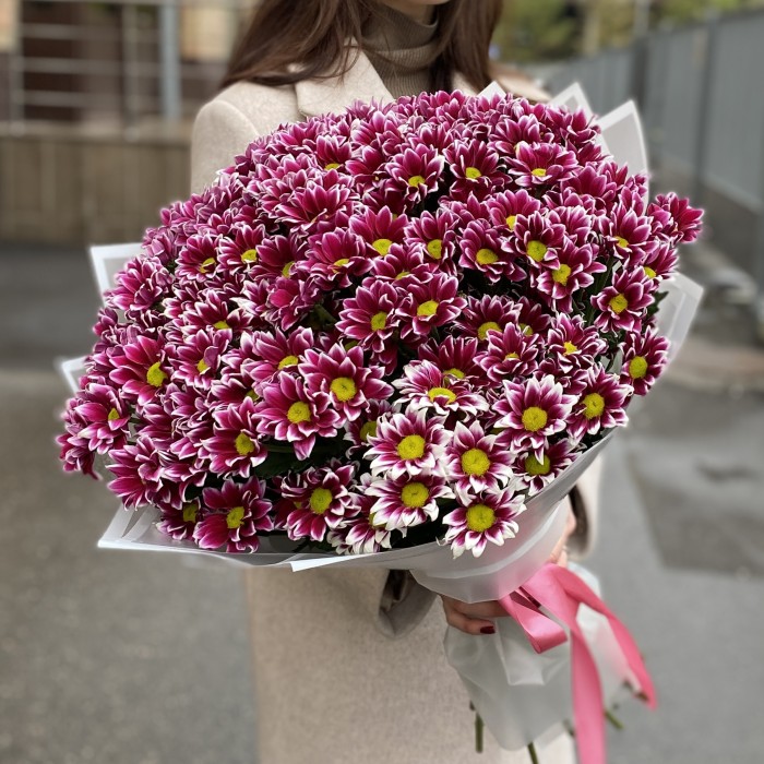 25 кустовых хризантем Хайдар Пинк