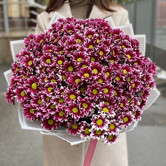25 кустовых хризантем Хайдар Пинк