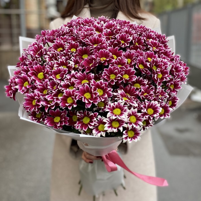 25 кустовых хризантем Хайдар Пинк