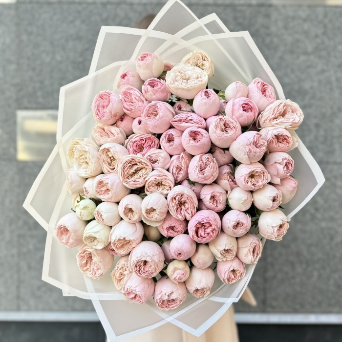 25 кустовых пионовидных роз Мансфилд парк 50 см